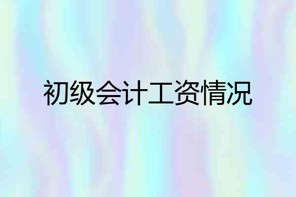 初级会计工资情况