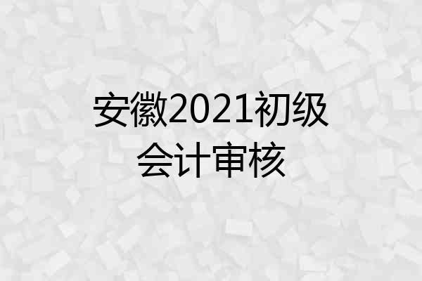 安徽2021初级会计审核