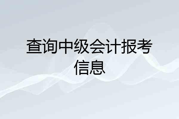 查询中级会计报考信息