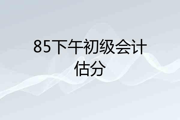 85下午初级会计估分