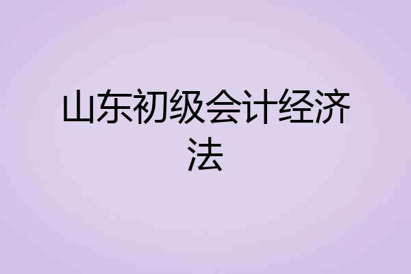 山东初级会计经济法