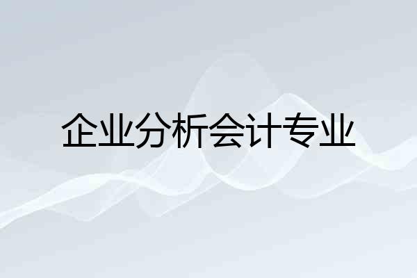 企业分析会计专业