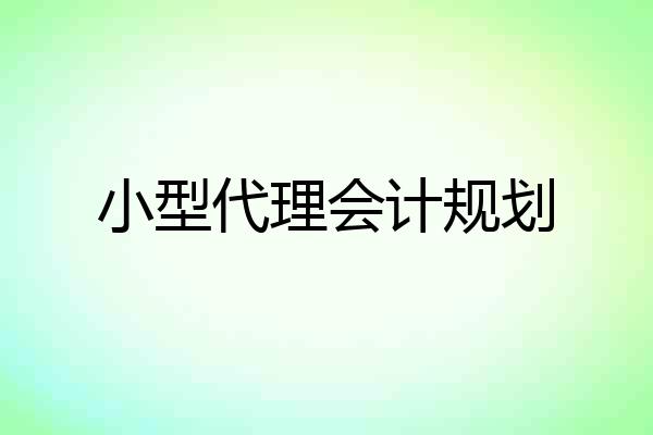 小型代理会计规划