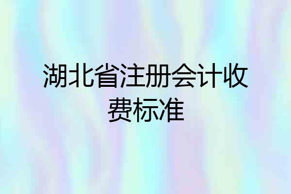 湖北省注册会计收费标准