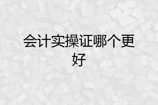 会计实操证哪个更好