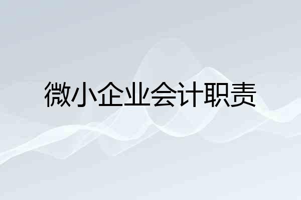 微小企业会计职责