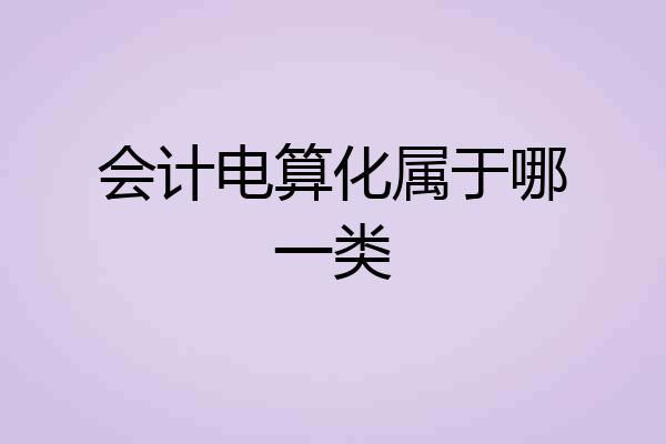 会计电算化属于哪一类