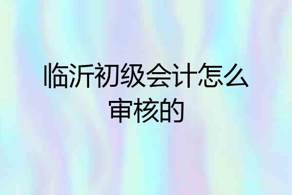 临沂初级会计怎么审核的