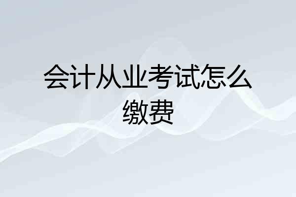 会计从业考试怎么缴费