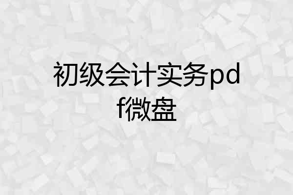 初级会计实务pdf微盘