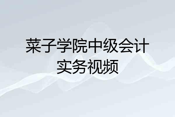 菜子学院中级会计实务视频
