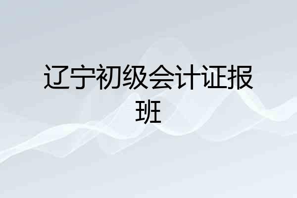 辽宁初级会计证报班