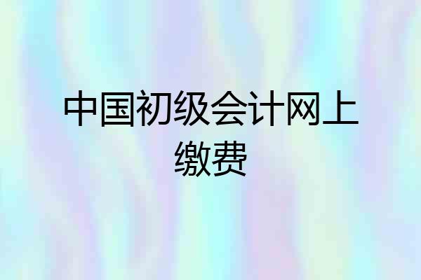 中国初级会计网上缴费