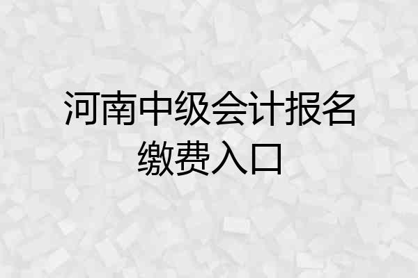 河南中级会计报名缴费入口