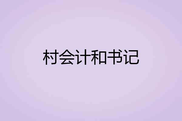 村会计和书记