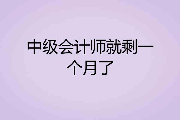 中级会计师就剩一个月了
