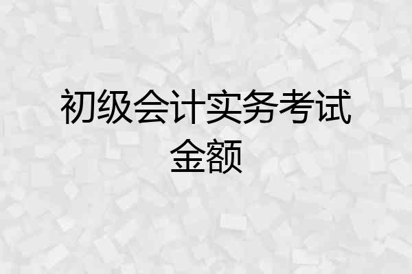 初级会计实务考试金额