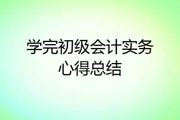 学完初级会计实务心得总结