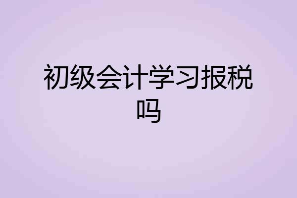 初级会计学习报税吗