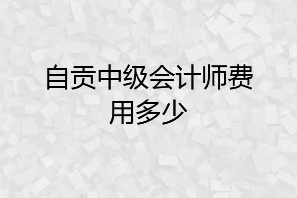 自贡中级会计师费用多少