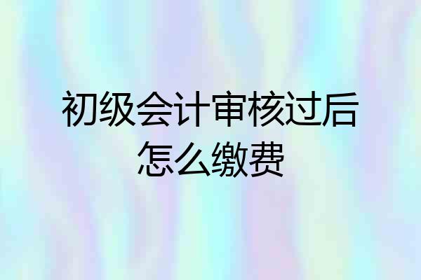 初级会计审核过后怎么缴费