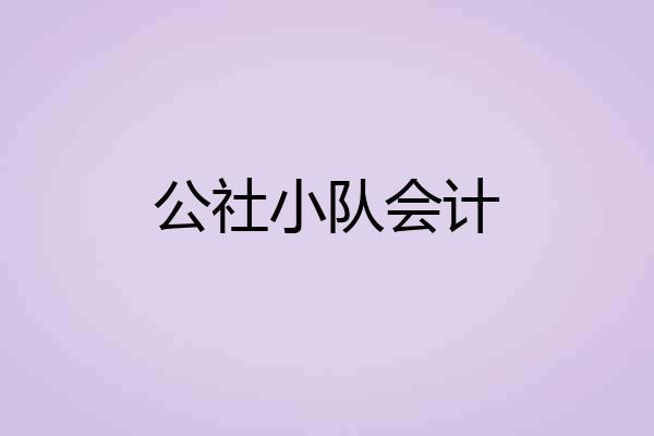 公社小队会计