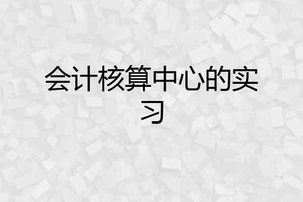 会计核算中心的实习