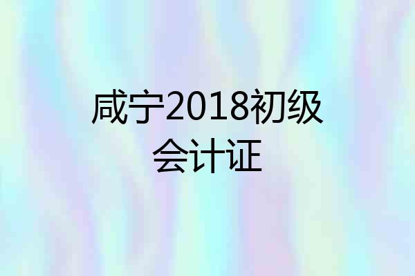咸宁2018初级会计证