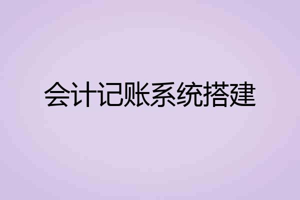 会计记账系统搭建