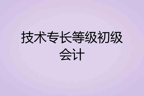 技术专长等级初级会计