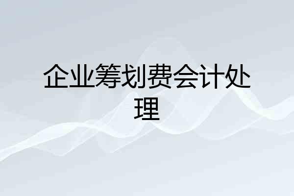 企业筹划费会计处理