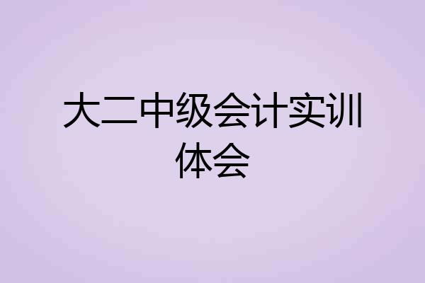 大二中级会计实训体会