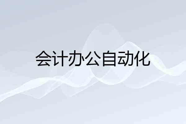 会计办公自动化
