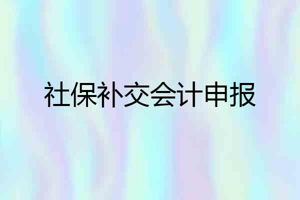 社保补交会计申报