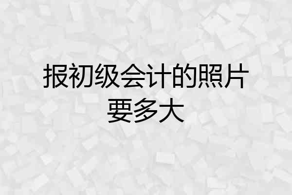 报初级会计的照片要多大