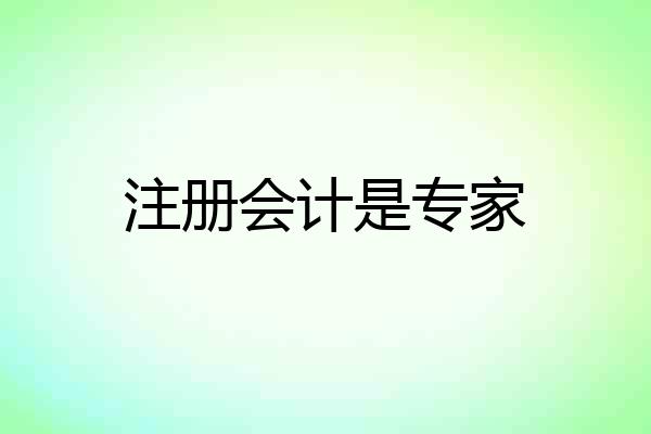 注册会计是专家