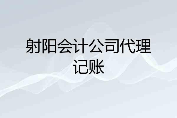 射阳会计公司代理记账