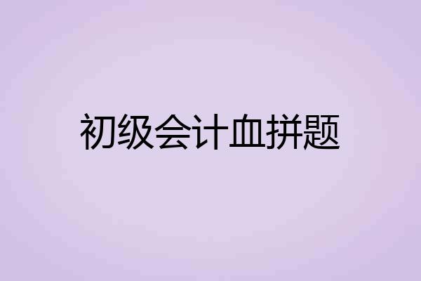 初级会计血拼题
