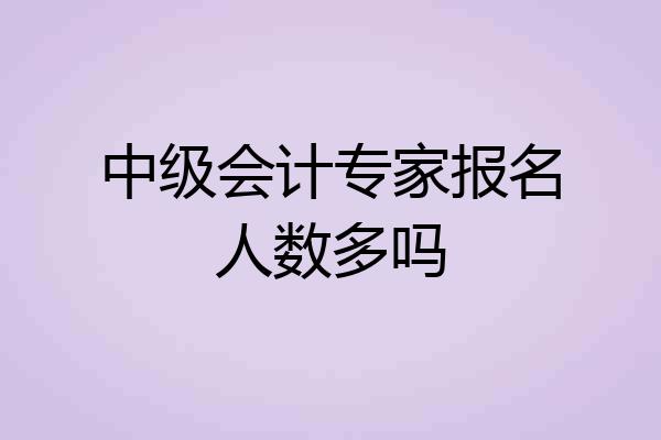中级会计专家报名人数多吗
