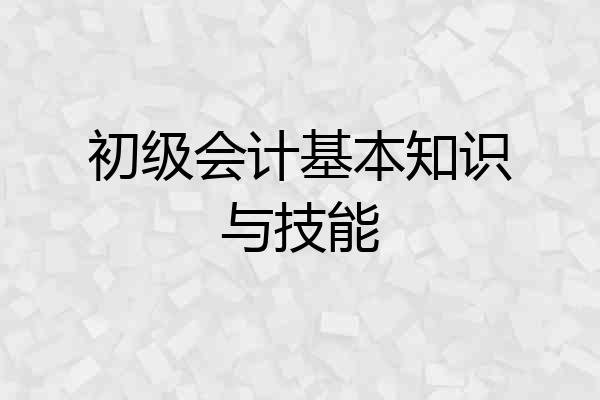 初级会计基本知识与技能