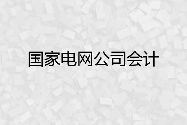 国家电网公司会计