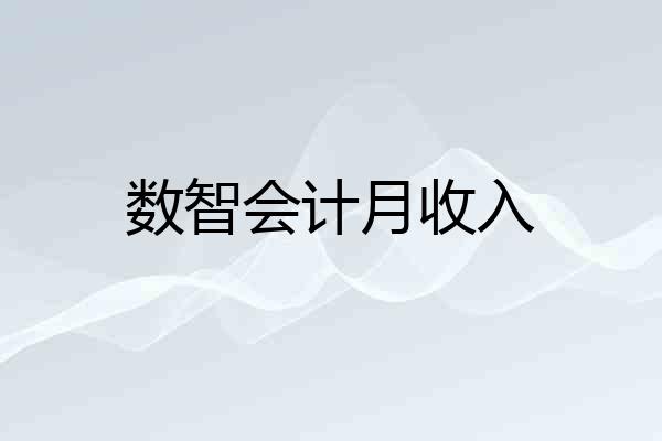 数智会计月收入