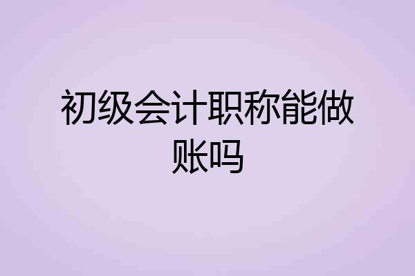 初级会计职称能做账吗