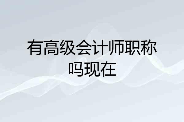 有高级会计师职称吗现在