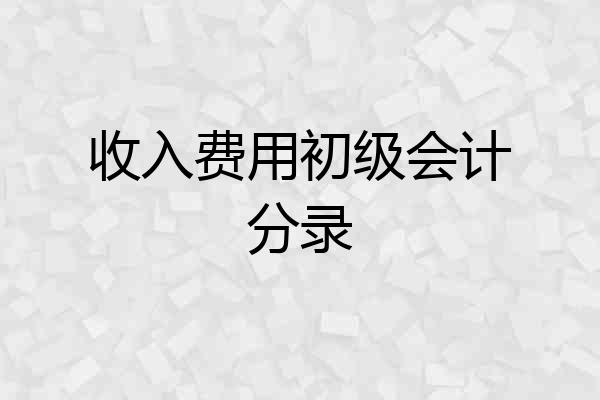 收入费用初级会计分录
