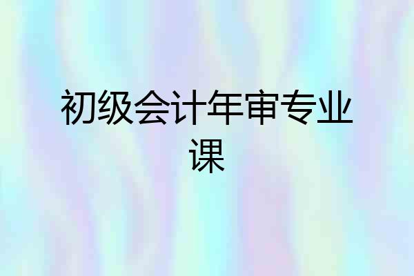 初级会计年审专业课