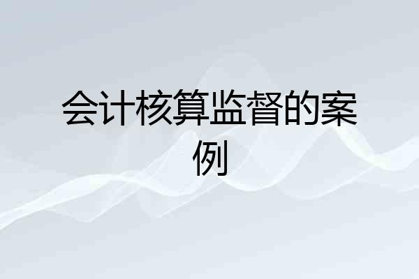 会计核算监督的案例