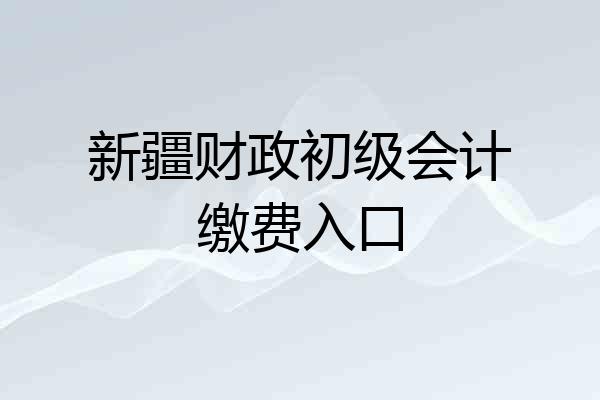 新疆财政初级会计缴费入口