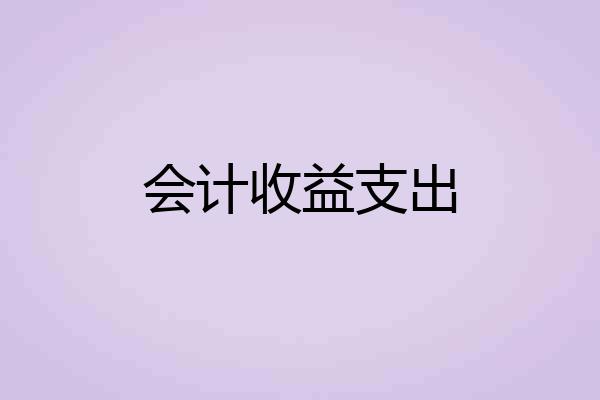 会计收益支出