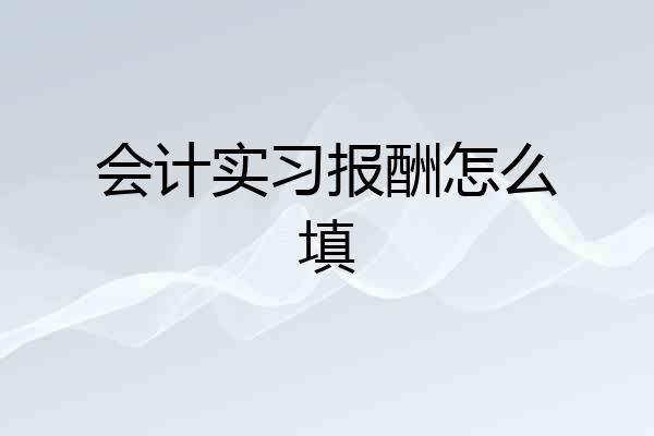 会计实习报酬怎么填